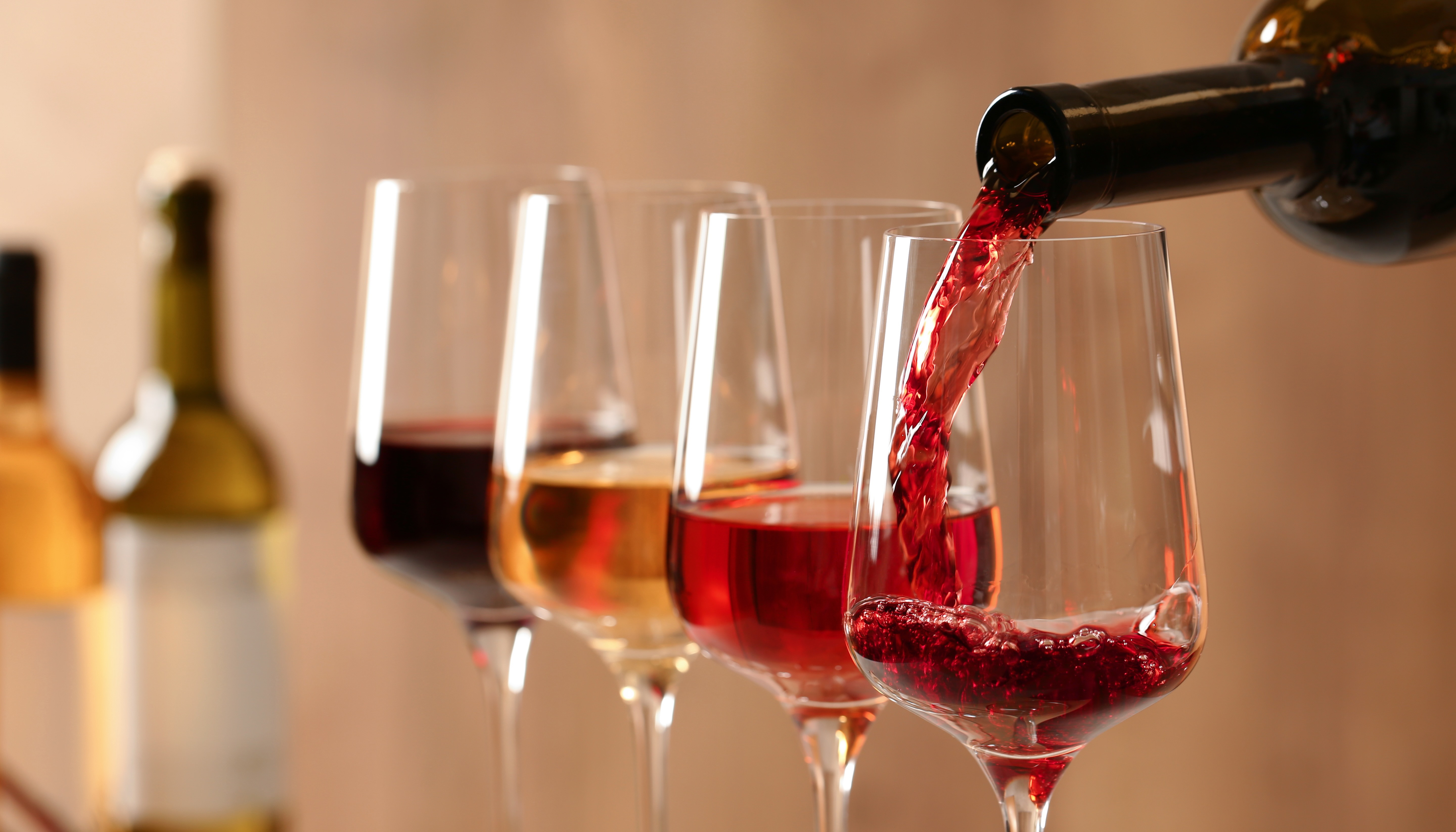 Enjoying Wine: The Basics & Beyond